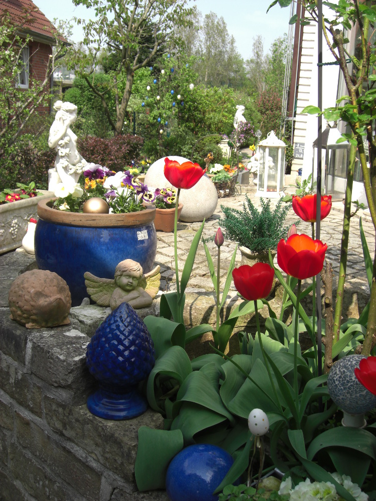 Tulpen im Frühling Tulpen im Frühling