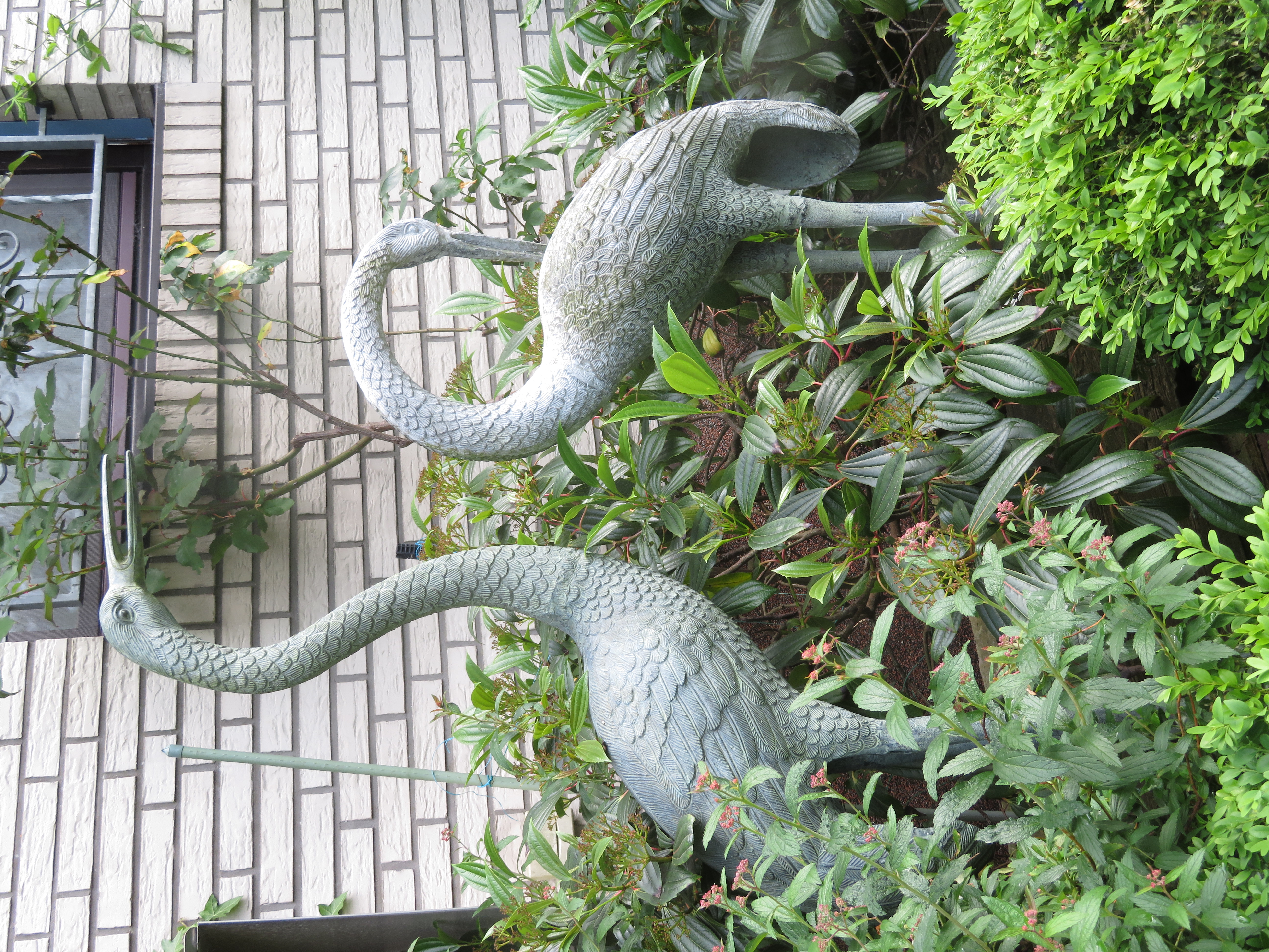 2 Reiher an der Nordseite 2 Reiher an der Nordseite