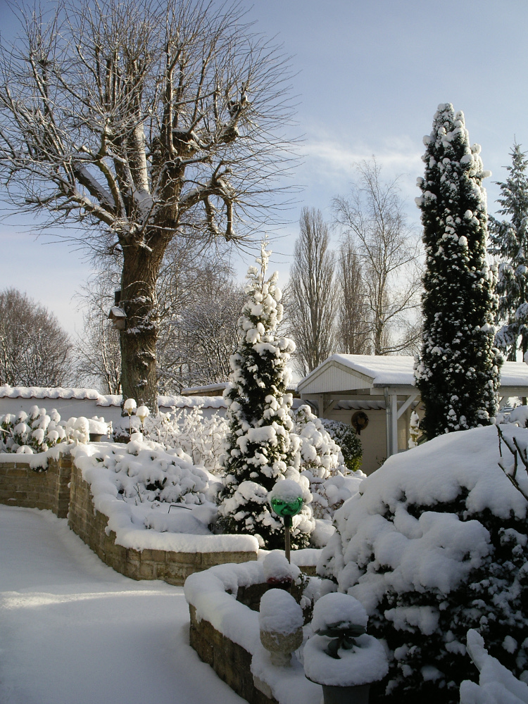 Vorgarten im Winter Vorgarten im Winter